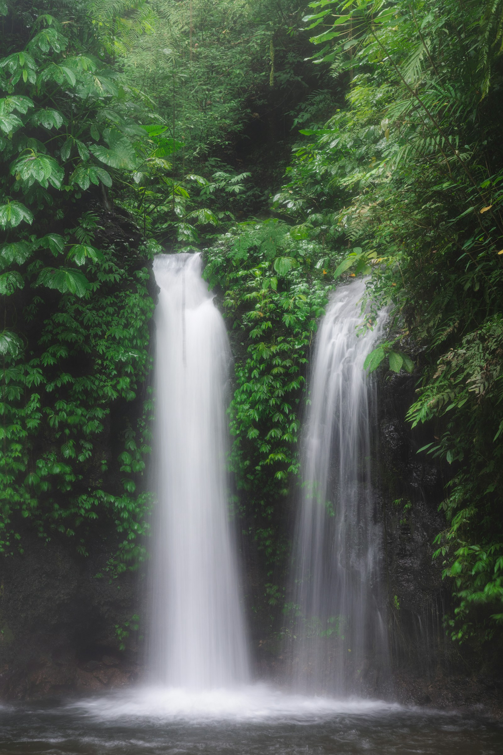 Banyumala Twin Waterfalls in green jungle