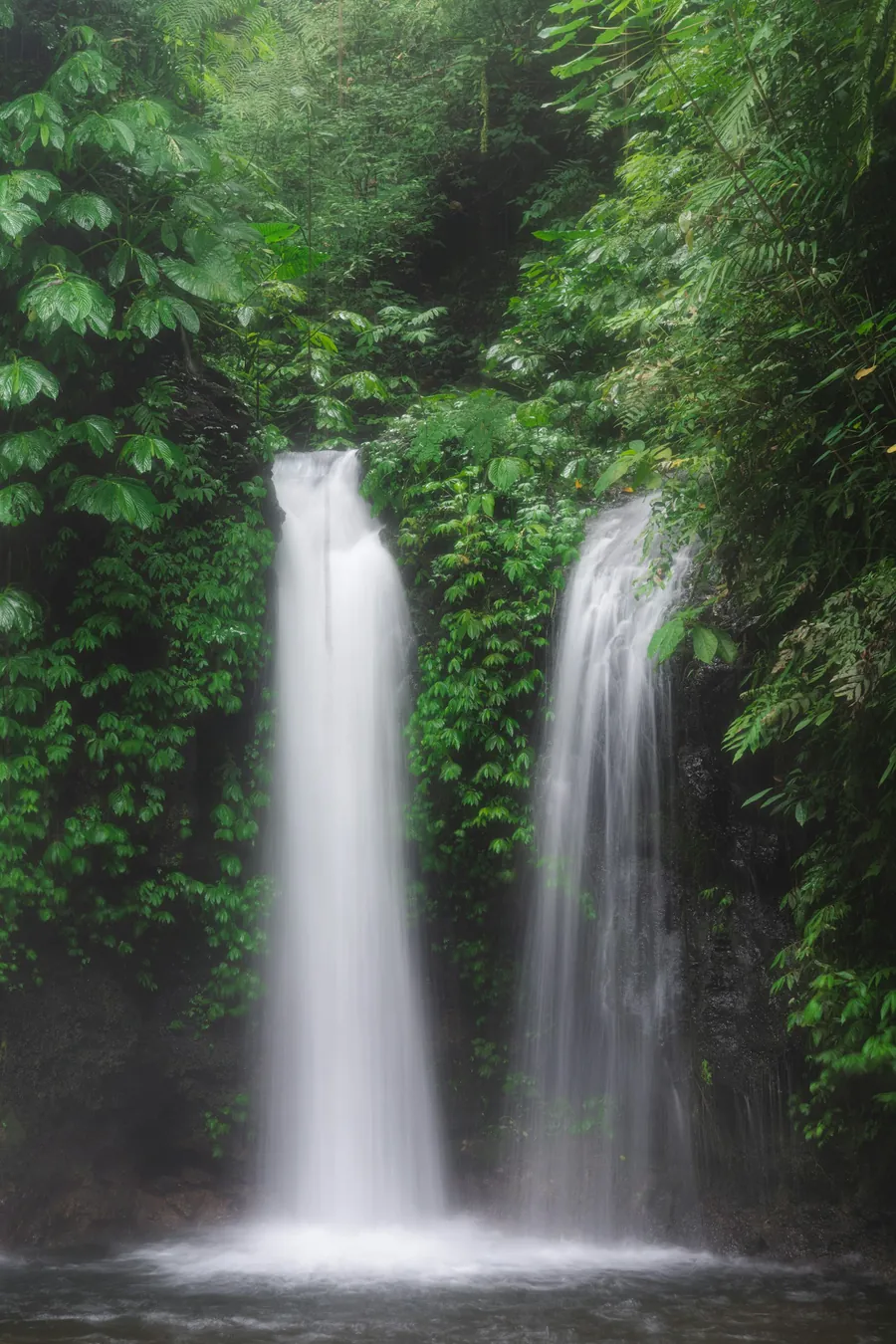 Banyumala Twin Waterfalls in green jungle