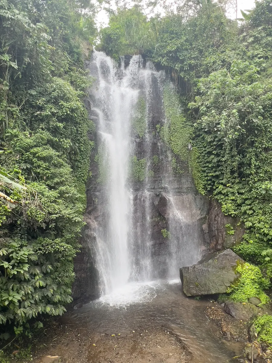 Green cliff waterfall near Munduk
